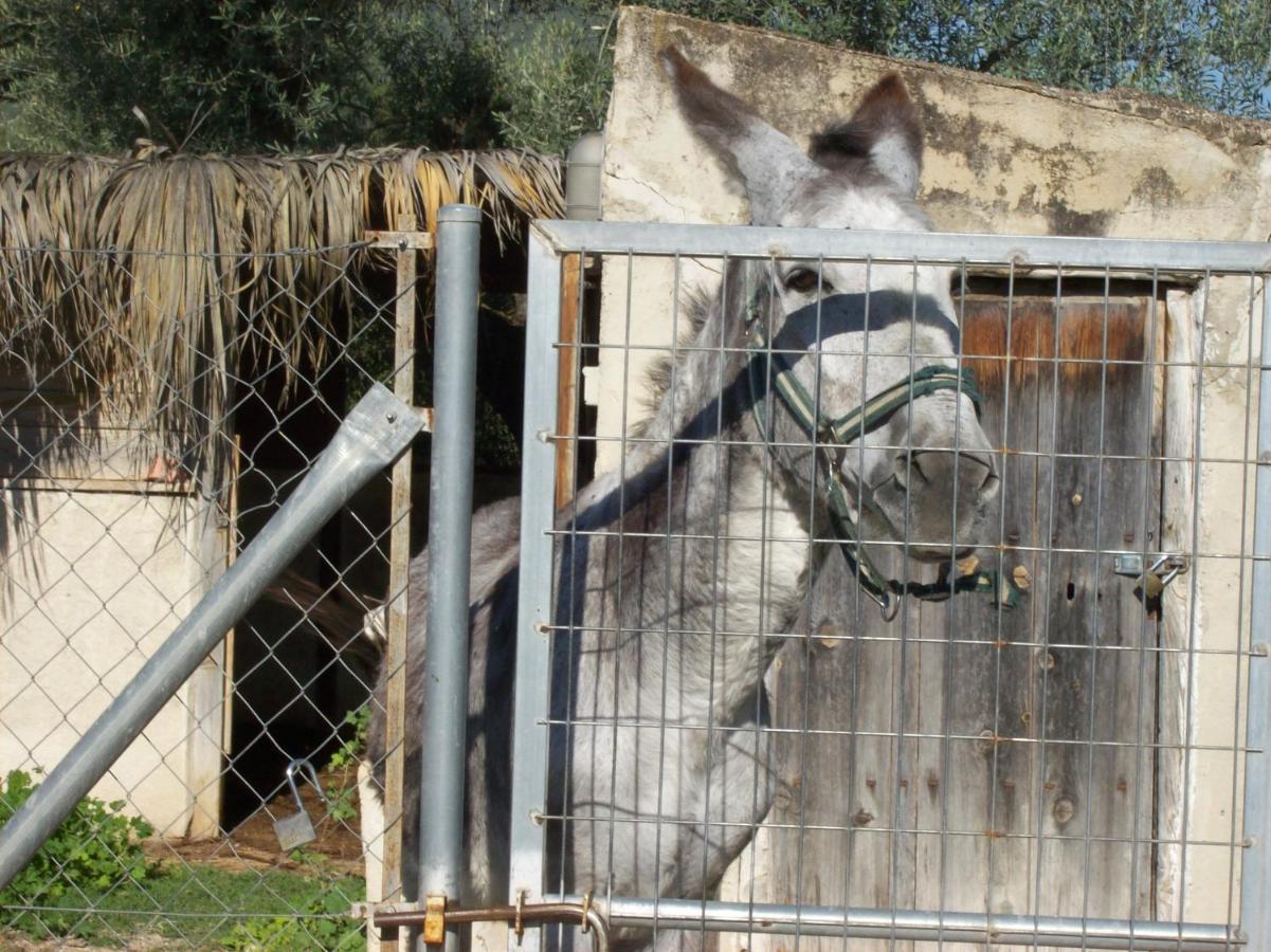 דירות מורטאיה Casa Trotamundos מראה חיצוני תמונה