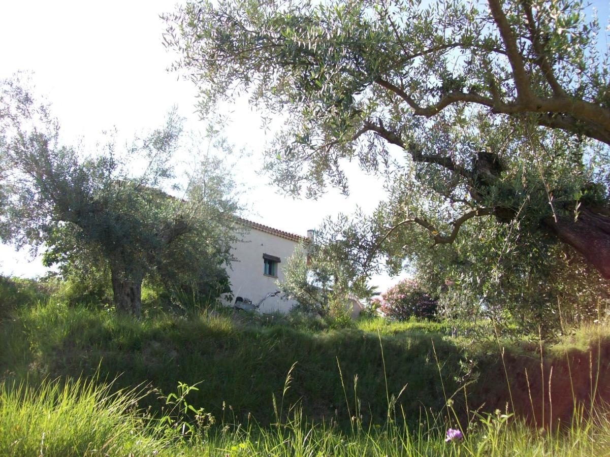 דירות מורטאיה Casa Trotamundos מראה חיצוני תמונה